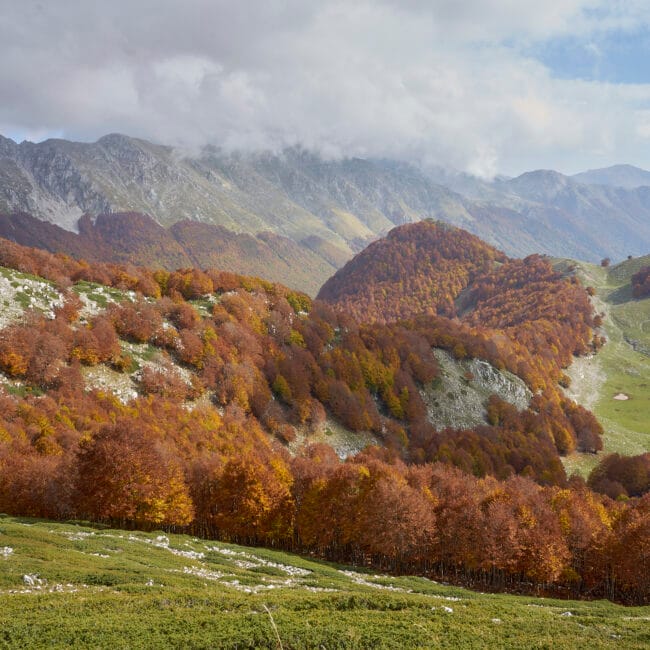 %Properties in the heart of Southern Lazio%