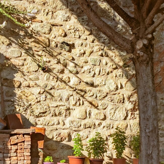 the beauty of life in Southern Lazio.